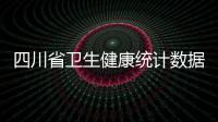 四川省衛生健康統計數據綜合采集與決策支持系統