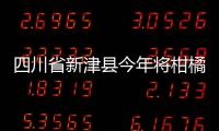 四川省新津縣今年將柑橘納入農業保險范圍內