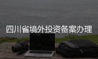 四川省境外投資備案辦理流程是什么