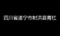 四川省遂寧市射洪縣青杠鎮李佳社區