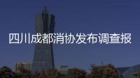 四川成都消協(xié)發(fā)布調(diào)查報(bào)告 汽車(chē)維修行業(yè)總體滿意度不高