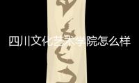 四川文化藝術學院怎么樣廣東美術生文化多少分上
