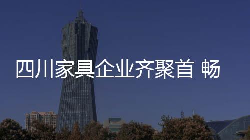 四川家具企業齊聚首 暢談電子商務出路