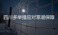 四川多舉措應對寒潮保障電力供應