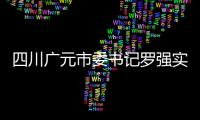 四川廣元市委書記羅強實地考察了浙江嘉福玻璃有限公司,企業新聞