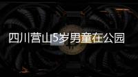 四川營山5歲男童在公園墜入污水井失蹤消防隊員搜救中