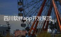 四川軟件app開發聚頂科技有名的公司與四川軟件app開發聚頂科技有名的原因