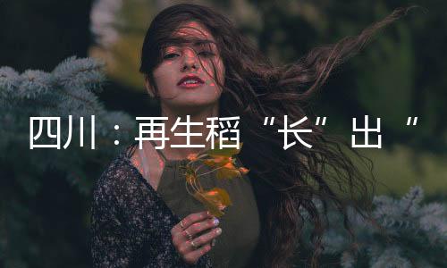 四川：再生稻“長(zhǎng)”出“噸糧田”