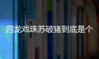 四龍戲珠蘇破豬到底是個什么梗?