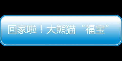 回家啦！大熊貓“福寶”搭乘包機起飛回國