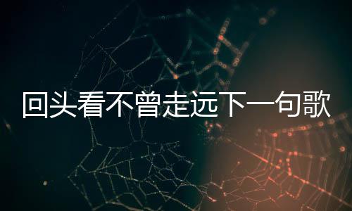 回頭看不曾走遠下一句歌詞（回頭看不曾走遠下一句）