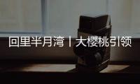 回里半月灣丨大櫻桃引領“生態+智慧產業鏈”