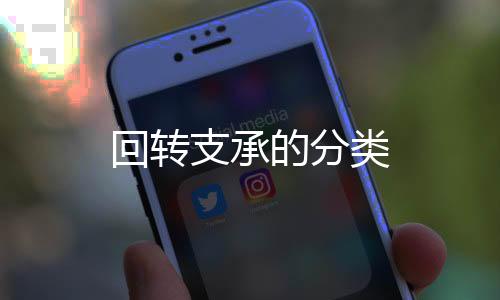 回轉(zhuǎn)支承的分類