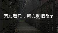 因?yàn)榭匆姡詣?dòng)情——讀梁柏練《看見動(dòng)物》
