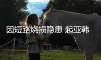 因短路燒損隱患 起亞韓國召回獅跑車型