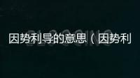 因勢利導的意思（因勢利導）