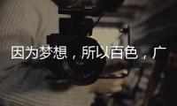 因為夢想，所以百色，廣西環境藝術設計行業協會百色站成立（組圖）