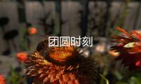 團(tuán)圓時(shí)刻