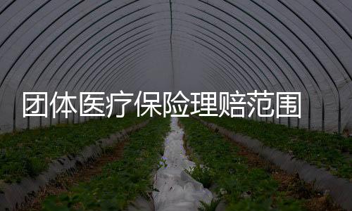 團體醫療保險理賠范圍 補充醫療保險 怎么報銷