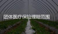 團體醫療保險理賠范圍 補充醫療保險 怎么報銷