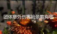 團體意外傷害險條款有哪些內容呢
