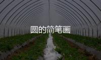 圓的簡(jiǎn)筆畫(huà)