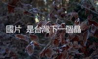 國片  是臺灣下一個晶圓廠？｜天下雜誌