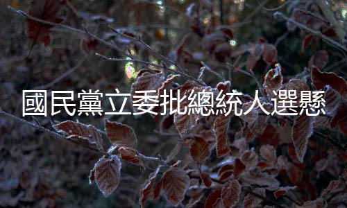國民黨立委批總統人選懸而未決，朱立倫：少製造內鬥紛擾