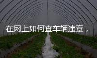 在網上如何查車輛違章，網上怎樣查詢車輛違章記錄