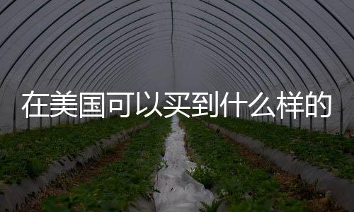 在美國可以買到什么樣的槍支？美國使用槍支自衛(wèi)要注意什么？