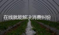 在線就能解決消費(fèi)糾紛 江蘇將推進(jìn)ODR縣區(qū)級覆蓋