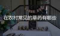 在農村常見的草藥有哪些，農村有哪些比較常見的草藥