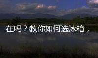 在嗎？教你如何選冰箱，2024十大冰箱品牌TOP排行榜！