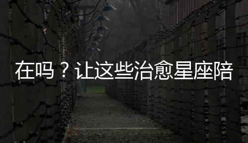 在嗎？讓這些治愈星座陪你啊