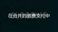 在合并的繳費支付中
