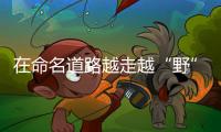 在命名道路越走越“野” 靜態(tài)體驗哈弗赤兔