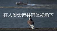 在人類命運共同體視角下