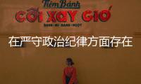 在嚴守政治紀律方面存在的問題及整改措施