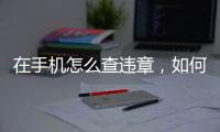 在手機怎么查違章，如何在手機上查找違章