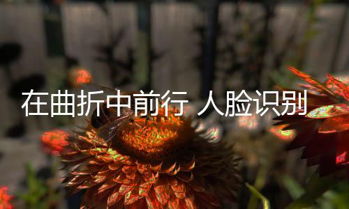 在曲折中前行 人臉識別大戲即將上演