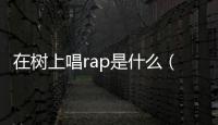 在樹上唱rap是什么（在樹上唱rap）