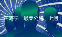 在海寧“最美公路”上遇見“最美候車亭”