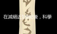 在滅絕近1世紀後，科學家正著手研究讓「袋狼」再次現身地球