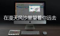 在漫天風沙里望著你遠去是什么歌歌詞是什么意思