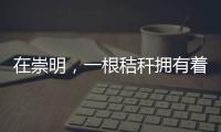 在崇明，一根秸稈擁有著無限可能