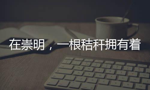 在崇明，一根秸稈擁有著無限可能