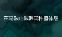 在馬鞍山做韓國種植體品牌的價格是1980元起,dio和奧齒泰通用