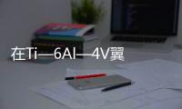 在Ti—6Al—4V翼面上形成殘余壓應(yīng)力的模擬試驗