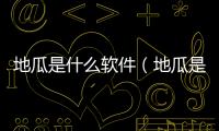 地瓜是什么軟件（地瓜是什么）