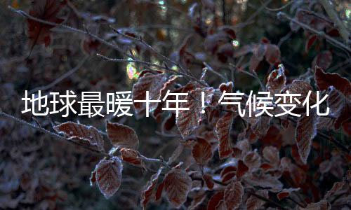 地球最暖十年！氣候變化速度與影響飆升